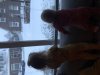 4D1BDC08-7CB4-4DAE-A65A-235B7E84945B.jpeg