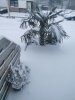 IMG_20210207_083259.jpg