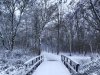 20210207_084812.jpg