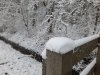 20210207_100451.jpg