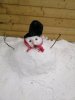 IMG_20210207_141639.jpg