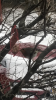 72981BA8-6824-4F07-AC9C-4D3D8B2FA31C.png