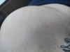 IMG_20210208_081603.jpg