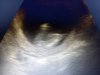 20210211_080432.jpg