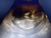 20210211_080449.jpg