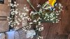 IMG-20210213-WA0003.jpeg