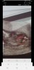 Screenshot_20210218-185307_Facebook.jpg