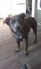 2013-04-03 18.28.46.jpg