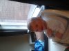 2013-03-24 17.49.55.jpg