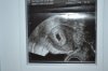 DSC_0177.jpg
