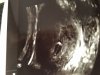 upload_2021-2-26_13-6-43.jpeg