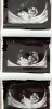 CB2D5D19-B496-461F-87CC-1885B21ACD19.jpeg