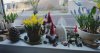 Polish_20210302_104747667.jpg