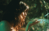 GregariousObedientGardensnake-max-1mb.gif