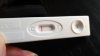 IMG-20210306-WA0003.jpeg