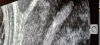 20210307_142926.jpg
