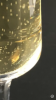 5517E2B9-EE83-4FA9-A057-33E83FBC6EF4.png