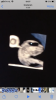 604D9B66-3185-4439-87C9-002BB5415957.png