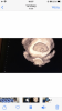 4CA8C105-6E9A-445D-93A6-B319DCCCFEC2.png