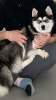 EC4DCF75-3D18-4E79-984B-477697B87B71.png