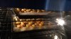 IMG-20210316-WA0018.jpeg