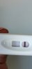 Screenshot_20210319_130927_com.android.gallery3d.jpg
