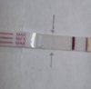 20210324_094509.jpg