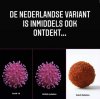 FB_IMG_1616612524284.jpg