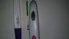 IMG-20210324-WA0033.jpeg