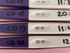7226AC60-B49C-436B-B41E-723E3EAB1AD3.jpeg