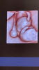 9D463B5E-8116-4E5E-BF6B-DB336F09C38F.png