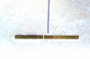 3E5565E4-7996-46DA-8281-086BA1033D57.jpeg