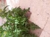 20210330_084030.jpg
