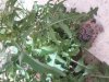 20210330_084042.jpg