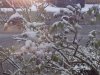20210407_104035.jpg