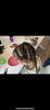 99DB62F3-ED45-4870-87B9-7DB8BB4D6968.png