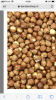 E9696746-906D-44A5-95FD-93308A62DB45.png