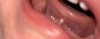 BBE2E8AC-2B06-46B7-9736-519DAF2CCFAE.jpeg