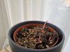20210424_072933.jpg