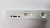 20210424_14 dpo midd.jpg