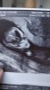 IMG-20190404-WA0000.jpeg