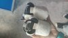 IMG-20210416-WA0006.jpeg