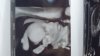 IMG-20210426-WA0001.jpeg