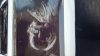 IMG-20210426-WA0002.jpeg