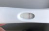 F2AEF14C-8E47-4E15-9386-C089F1CA1B4D.jpeg