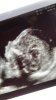64E6F567-061E-496B-9CEC-5A107ECA34EA.jpeg