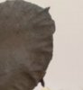 BBCE5E81-23B0-48B6-A6BF-0AD6E56466AF.jpeg