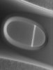 20210510_014704.jpg