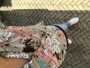 D9EFCD38-7031-41B6-957E-0DCED3D8A2E9.jpeg