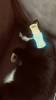 7C651D41-31A1-4F22-8A79-58FD3B40DD68.png